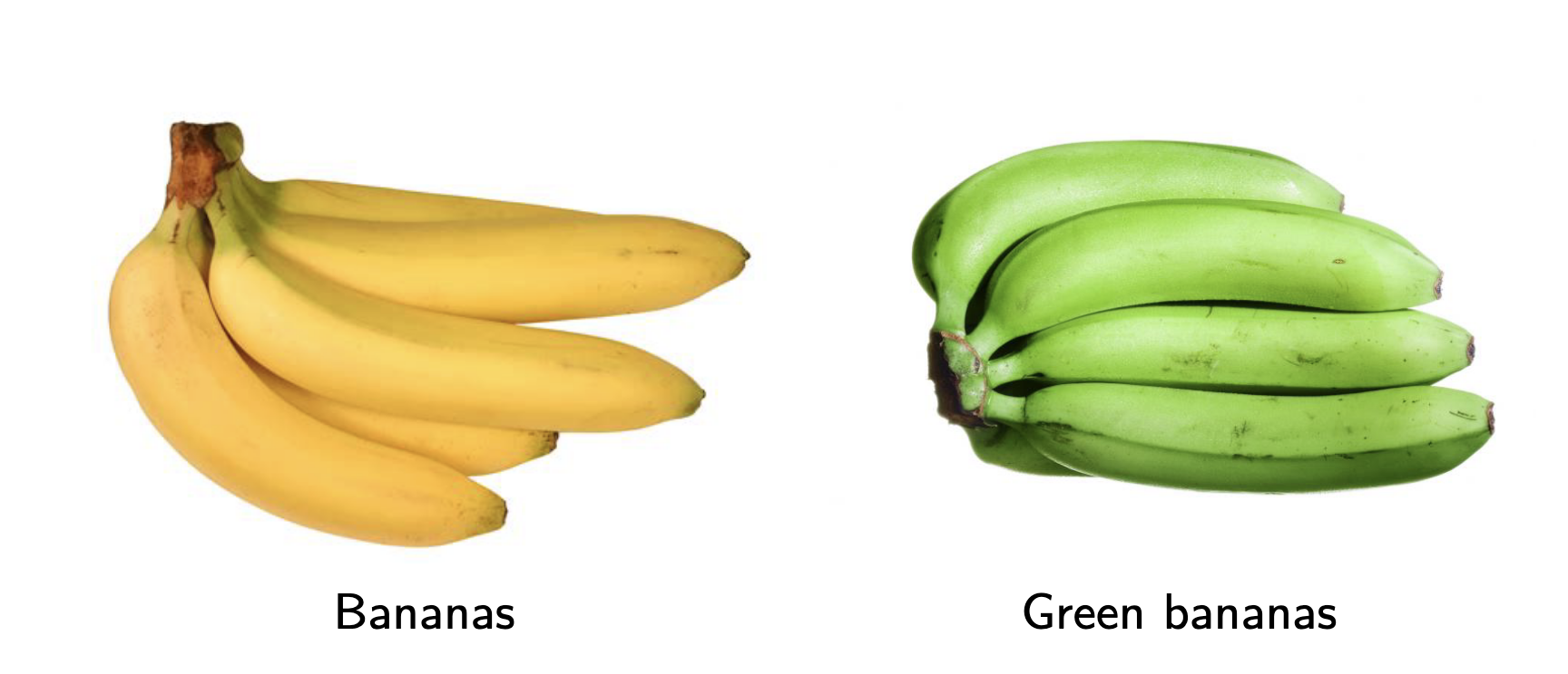 Gula bananer bredvid gröna bananer